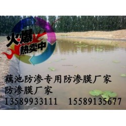 供應(yīng)0.5mm藕池防滲膜廠(chǎng)家