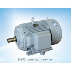 專業(yè)的閥門電機，哪里可以買到精湛的YE2系列三相異步電動機