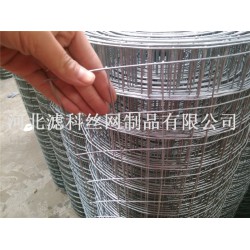 全球領(lǐng)導(dǎo)品牌¤廠家濾科供應(yīng)優(yōu)質(zhì)不銹鋼鋼筋電焊網(wǎng)，價格也不