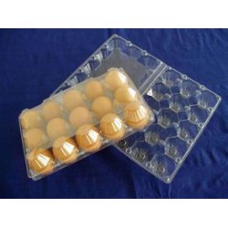 哪里能買到質量好的塑料雞蛋托，塑料雞蛋托