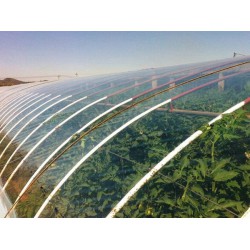 EVA消霧膜哪家好【金晶】EVA消霧農(nóng)膜//EVA消霧膜批發(fā)
