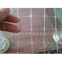 人氣新品，誠意來襲★雙向拉伸塑料網(wǎng)