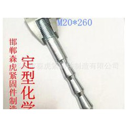 M20定型化學(xué)錨栓供應(yīng)廠家 想買價(jià)位合理的M20定型化學(xué)錨栓，就來森虎緊固件