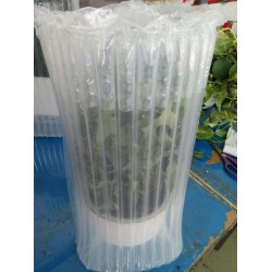 廣州小盆栽快遞充氣保護(hù)袋，緩沖氣袋