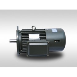 YEJ剎車電機(jī)——電磁制動(dòng)電機(jī)