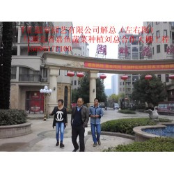 濰坊可信賴的蔬菜大棚建造公司，當屬千匯溫室——蔬菜大棚造價
