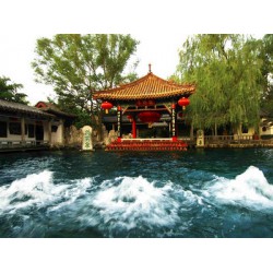 【旅游行業(yè)crm系統(tǒng)】山東哪家的技術(shù)*流，售后服務(wù)到位?