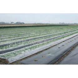 想買品牌好的除草地膜，就到開元塑料   ——山東地膜