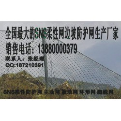 遂寧被動網(wǎng)，新款被動防護網(wǎng)成都有售