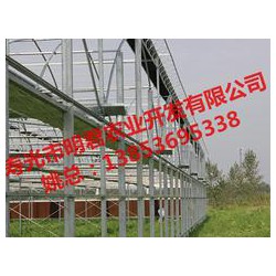 【誠薦】智能溫室大棚建設(shè)訊息，溫室大棚搭建報價
