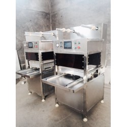 水果蔬菜式氣調(diào)鎖鮮包裝機 真空盒式氣調(diào)真空包裝機