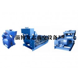 水環(huán)式真空泵供應(yīng)廠家【推*！友志】水環(huán)式真空泵