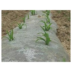 具有口碑的玉米地膜提供商，當(dāng)屬南寧市晟和興塑膠，貴州哪里有農(nóng)用地膜