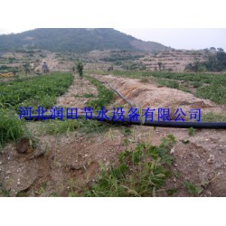 絳縣果樹(shù)滴灌PE管方式-小管出流-穩(wěn)流器節(jié)水增產(chǎn)