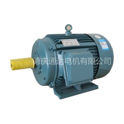 安全的YE3系列超高效三相異步電動(dòng)機(jī)——專(zhuān)業(yè)的YE3超高效三相異步電動(dòng)機(jī)通達(dá)電機(jī)供應(yīng)