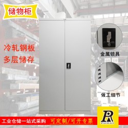 揚(yáng)州重型置物柜雙開門可調(diào)節(jié)空間儲物柜工具量具柜