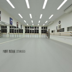 PVC舞蹈專用地膠，PVC專業(yè)舞蹈地膠