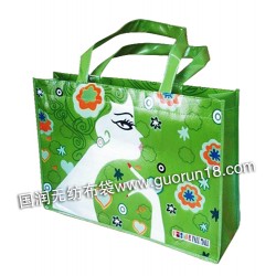 泰康國(guó)潤(rùn)無(wú)紡布袋，環(huán)保袋，購(gòu)物袋，廣告宣傳袋