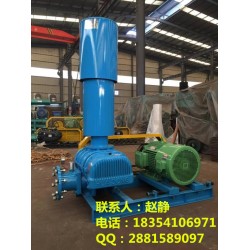 【 污水曝氣風(fēng)機(jī)、污水曝氣鼓風(fēng)機(jī)選型、北京曝氣鼓風(fēng)機(jī)廠家】