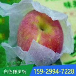 廠家直銷洛川蘋(píng)果紅富士包裝紙  白色雪梨紙  防潮透氣