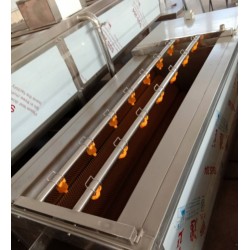 黃桃清洗機(jī)，黃桃罐頭加工全套設(shè)備