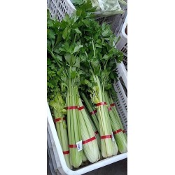 蔬菜捆扎機(jī)，小型扎把機(jī)，蒜苔捆扎，蒜苔束帶，昆勁小型捆扎機(jī)