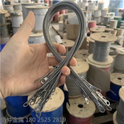 燈飾專用304不銹鋼鋼絲繩，吊燈繩，鋼絲繩鎖具，包膠鋼絲繩