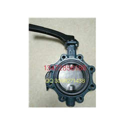 原裝正品德國依博羅Z014-A支耳式蝶閥DN40-DN500